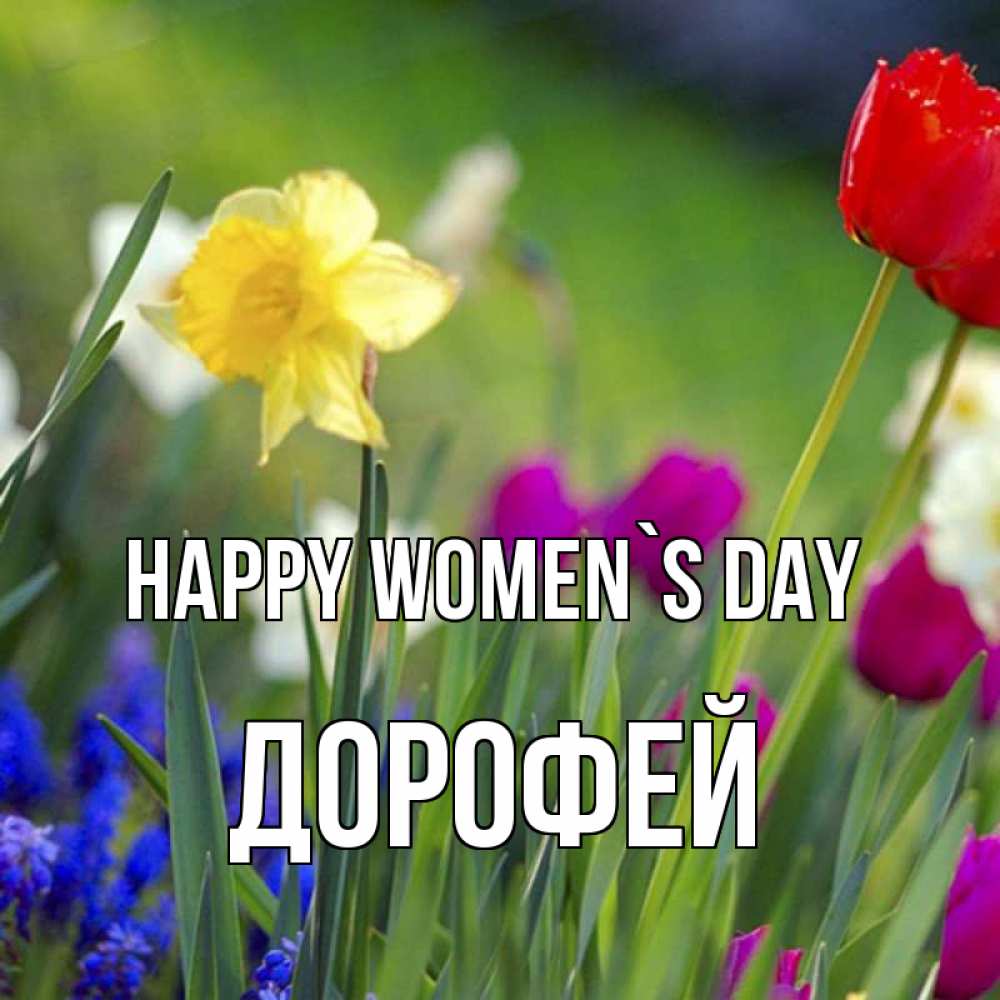 Greetings card с именем, Дорофей happy women`s day международный женский день 3 Greetings with text for free download 